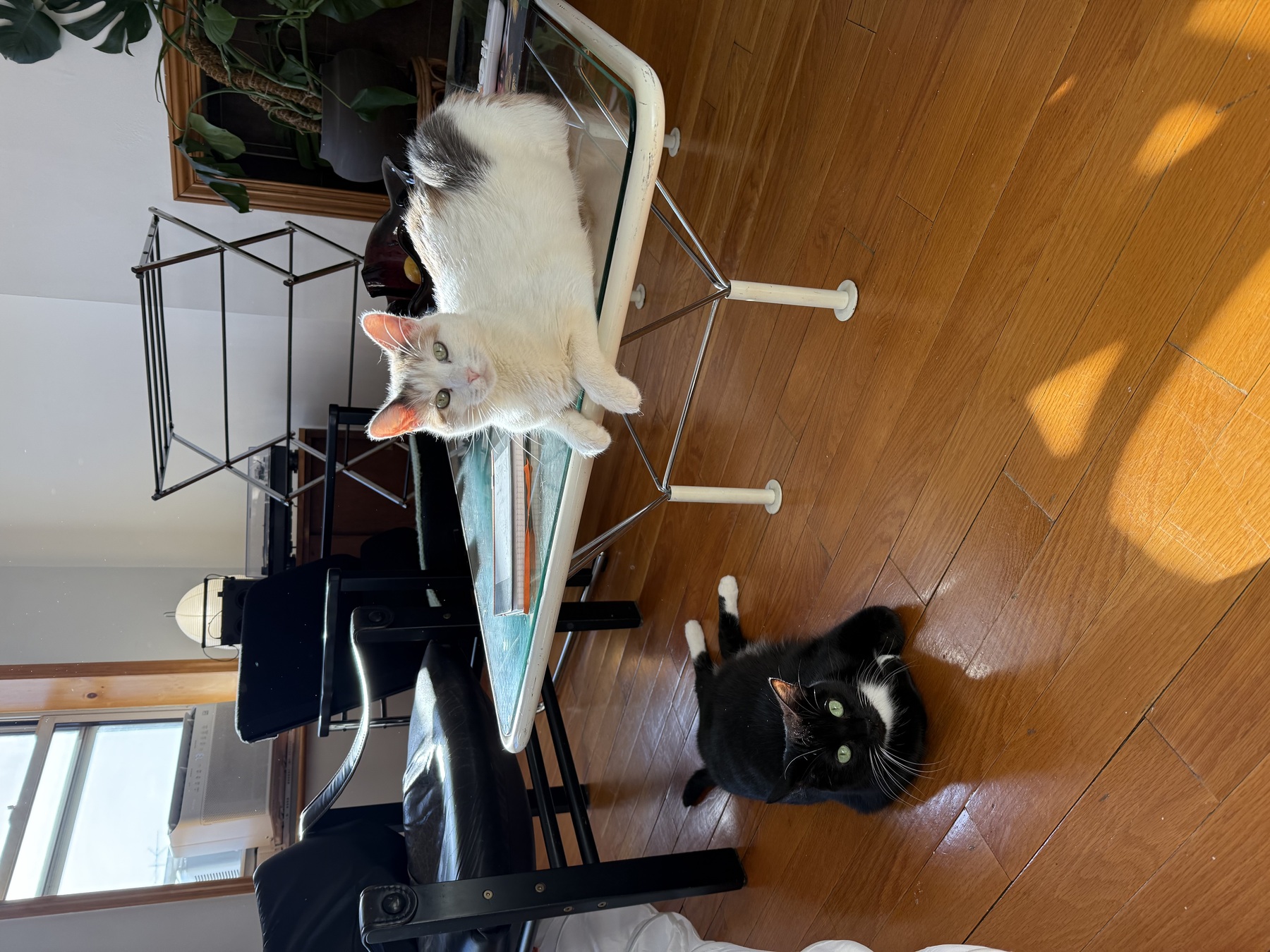 Image from October 2025