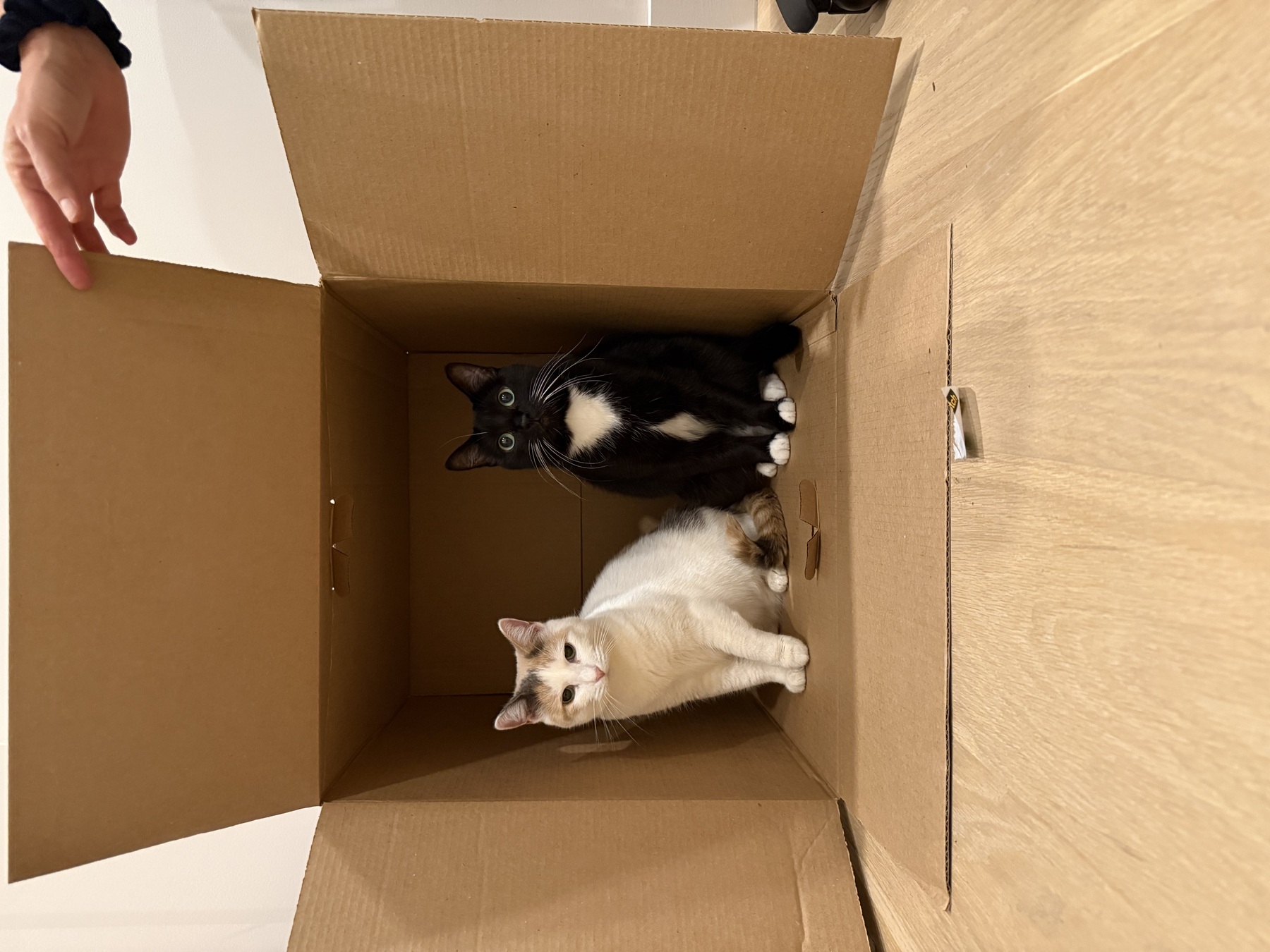 Image from October 2025