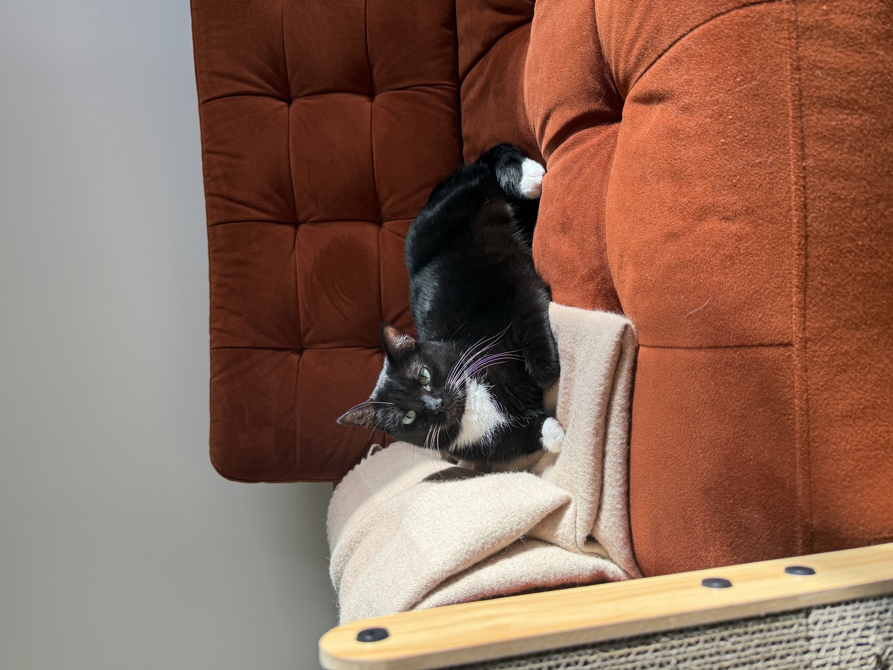 Image from October 2025