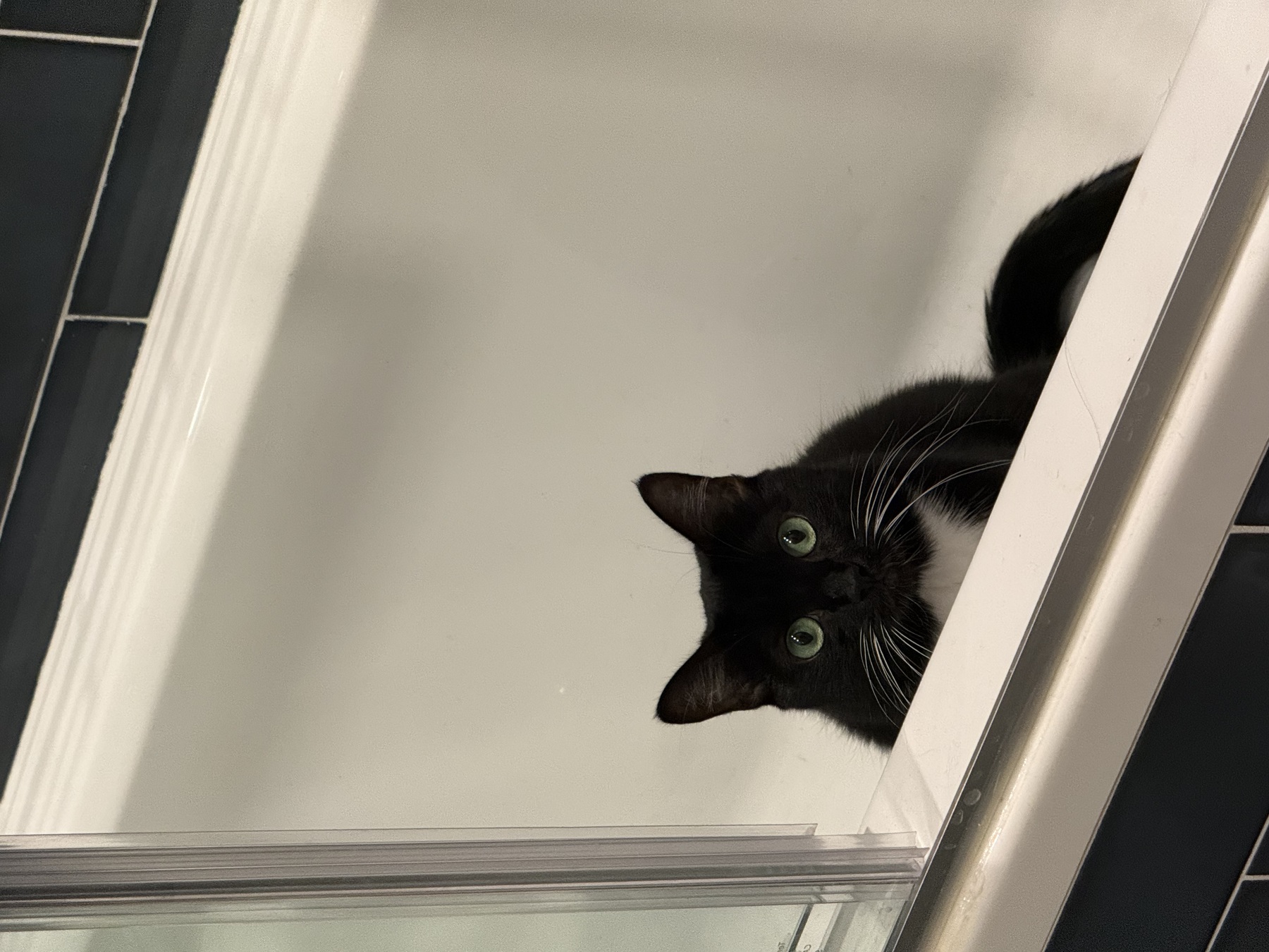 Image from October 2025