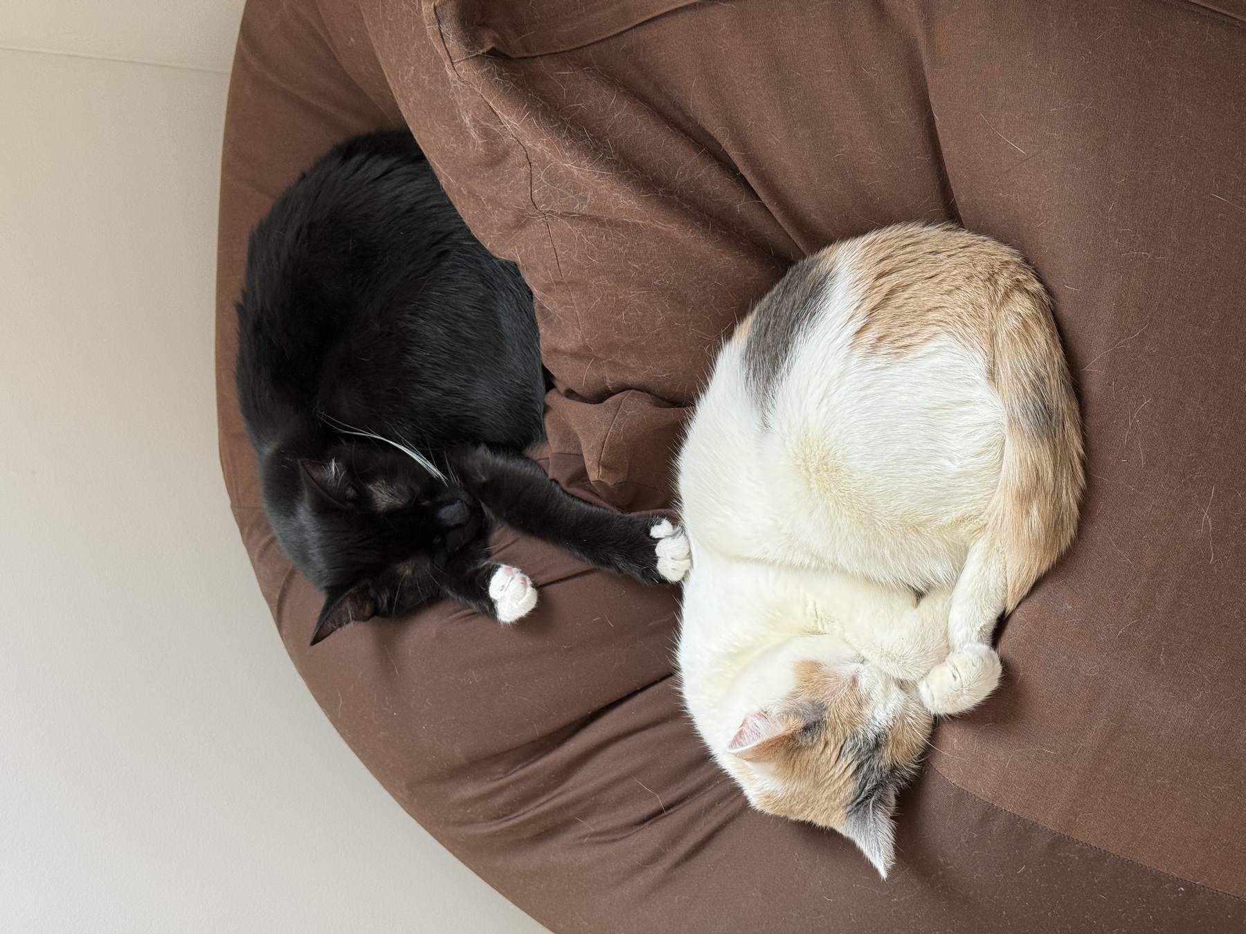 Image from November 2025