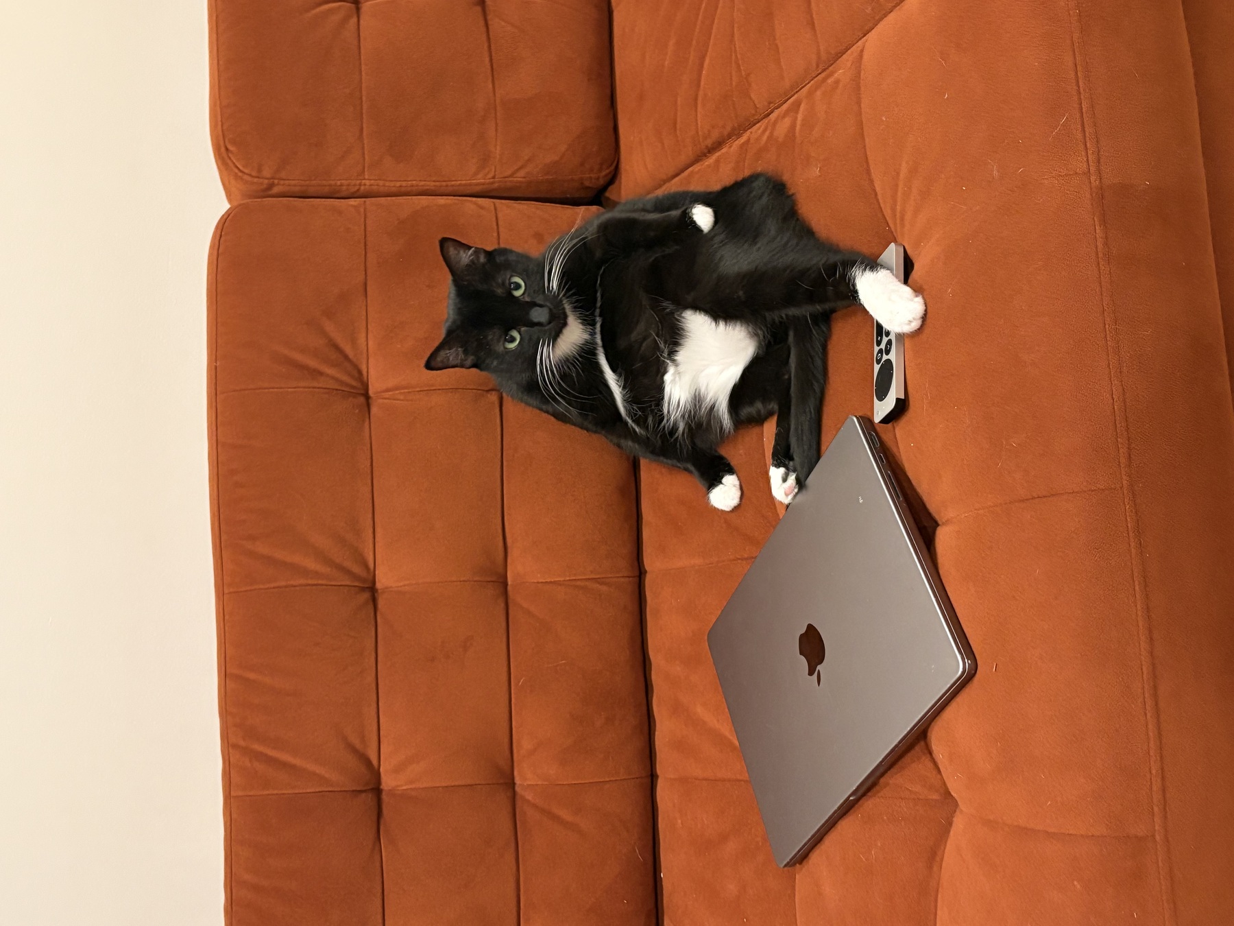 Image from November 2025