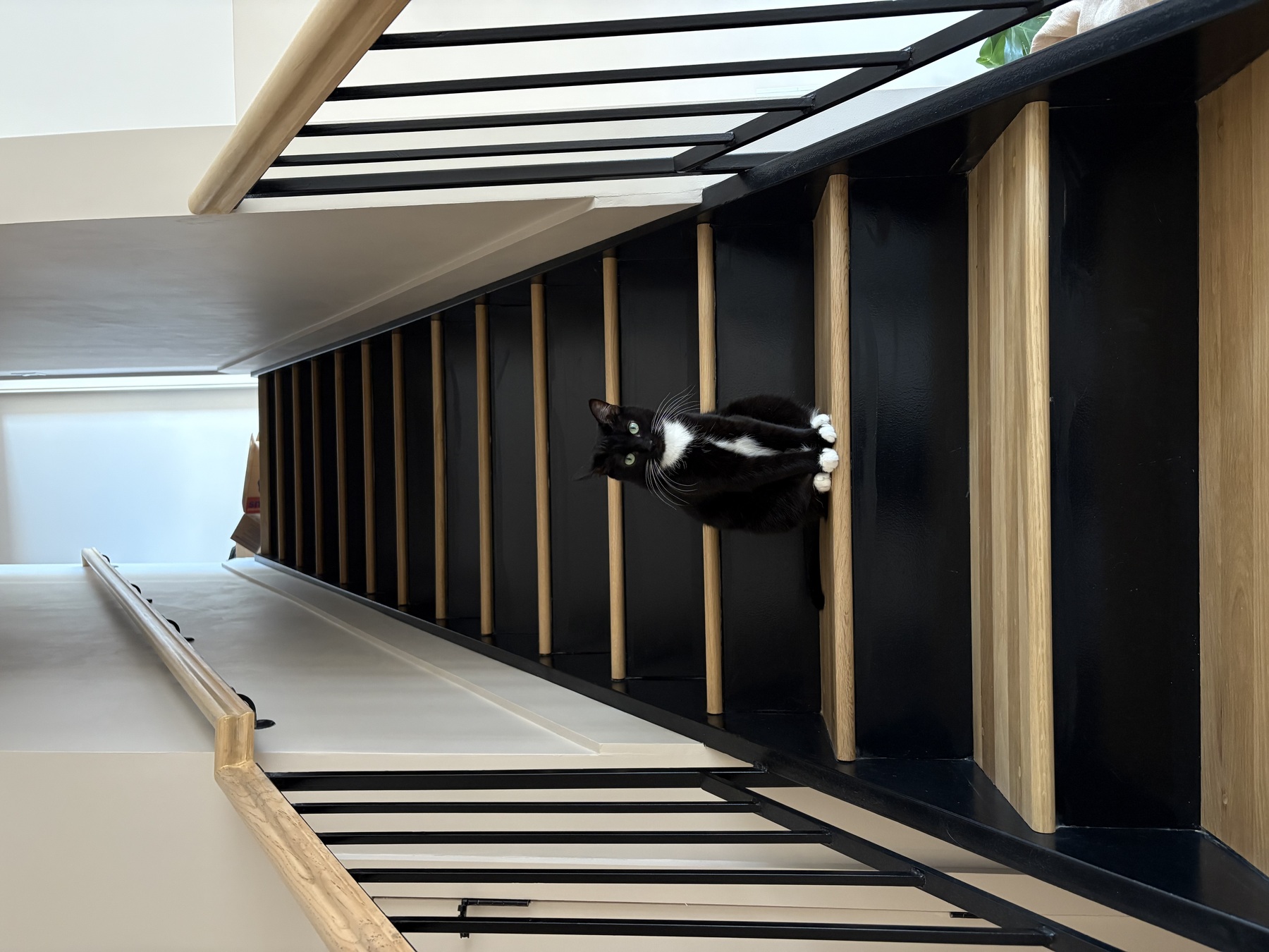 Image from November 2025