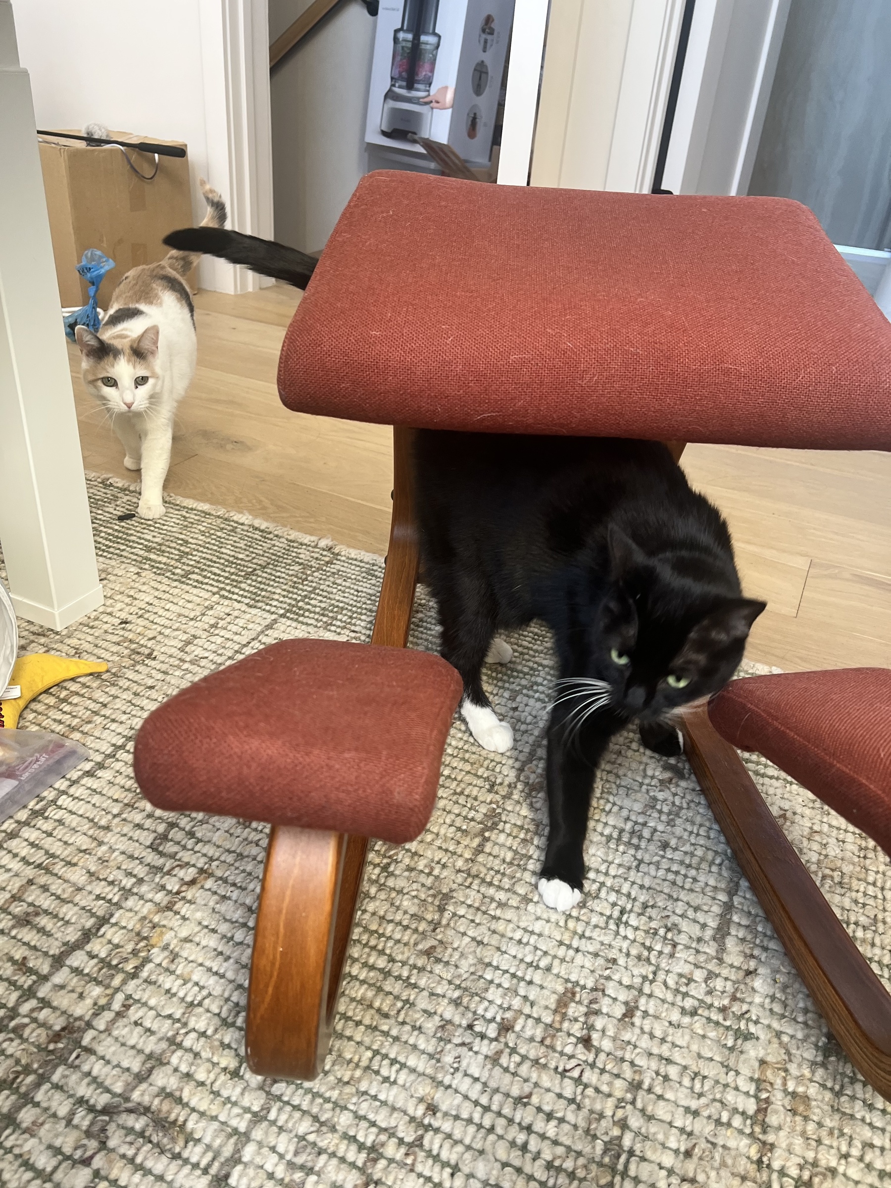 Image from December 2025