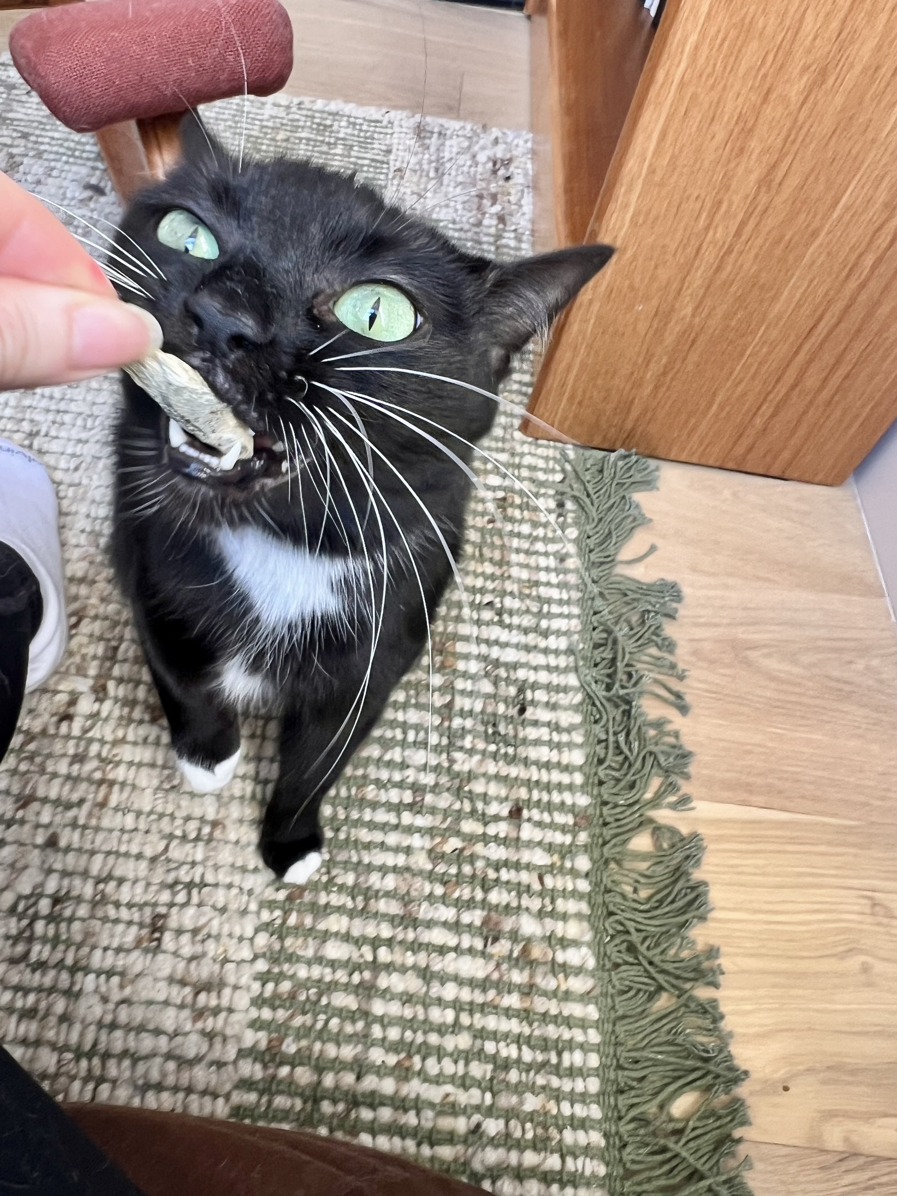 Image from December 2025