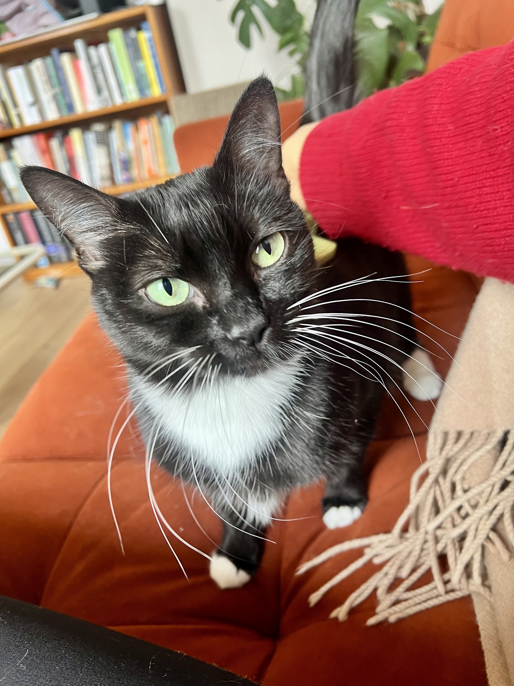 Image from December 2025