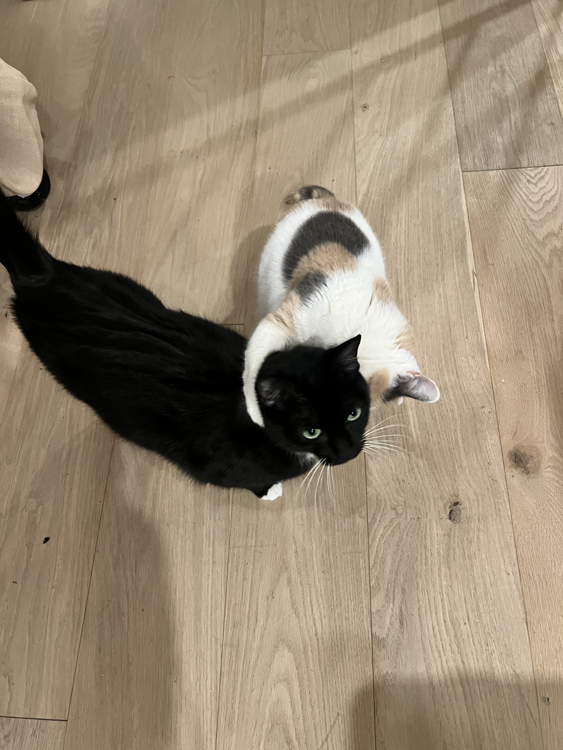 Image from December 2025