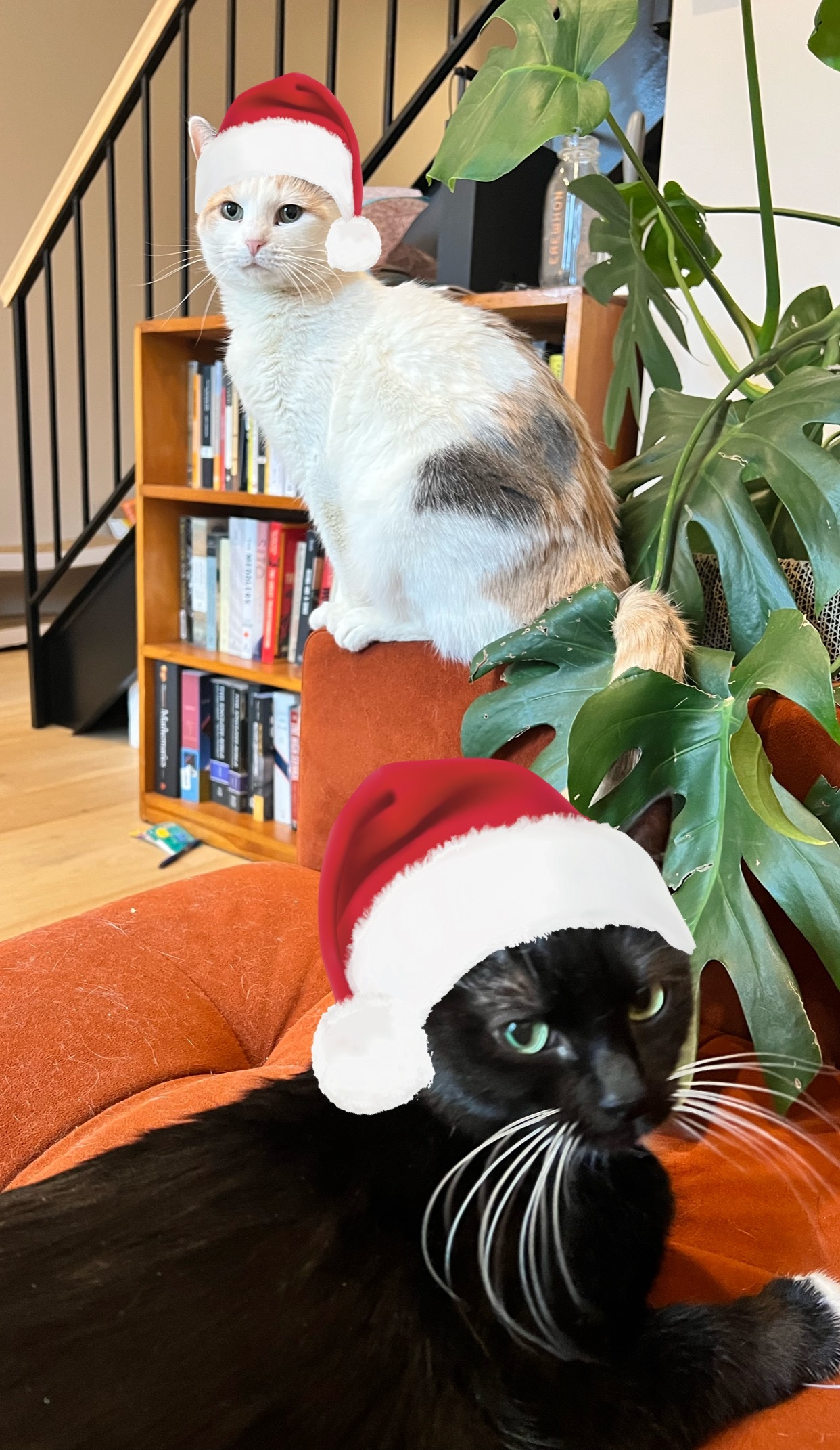 Image from December 2025