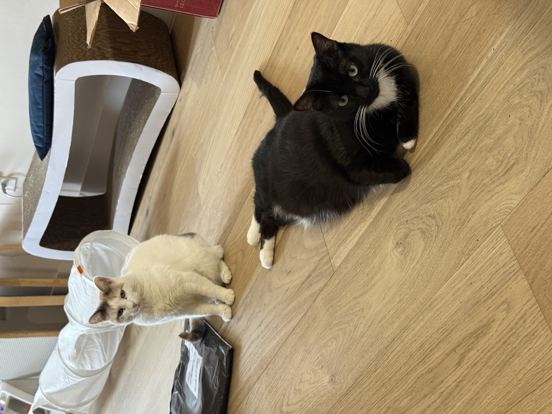 Image from January 2026