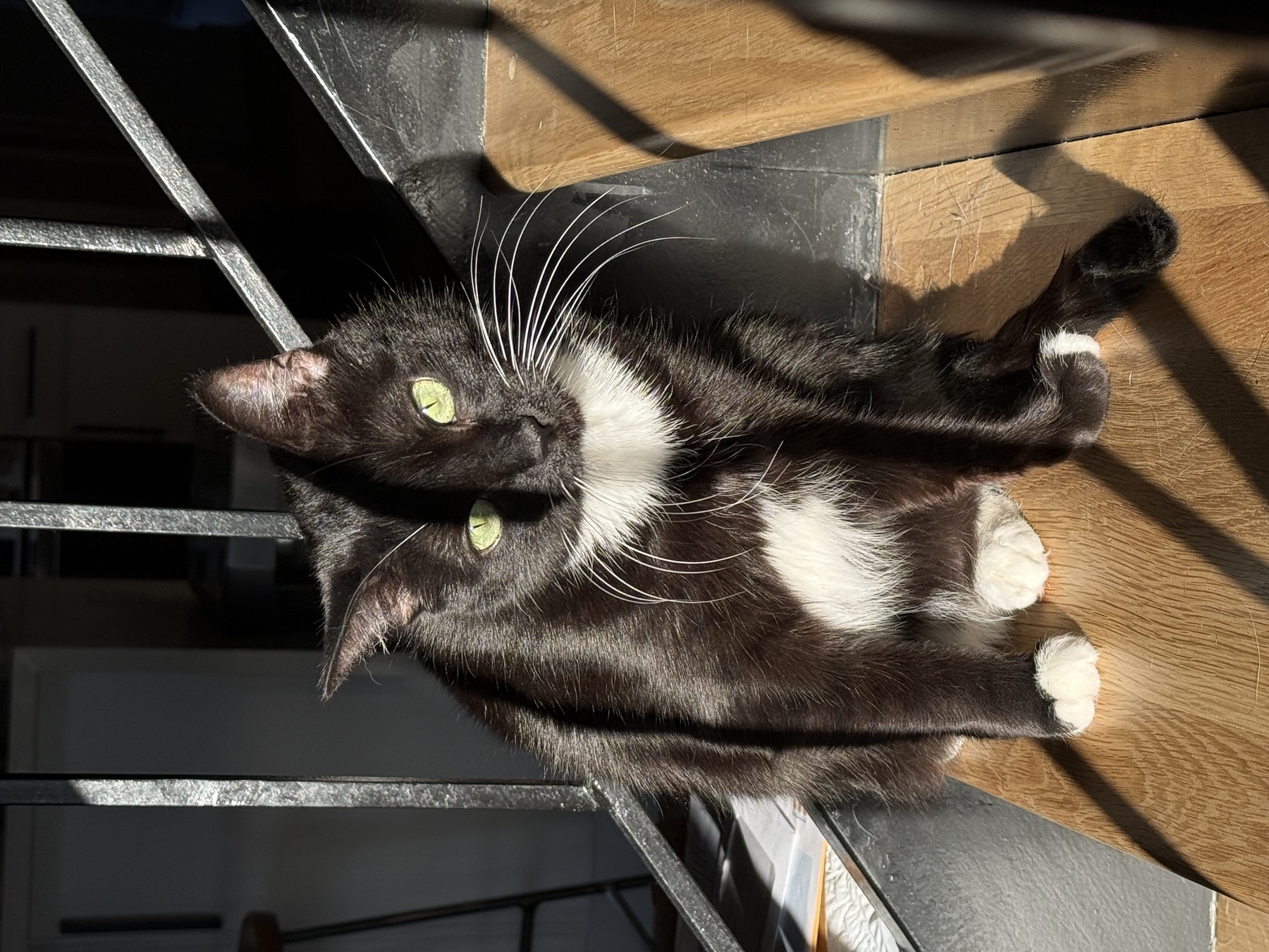 Image from January 2026