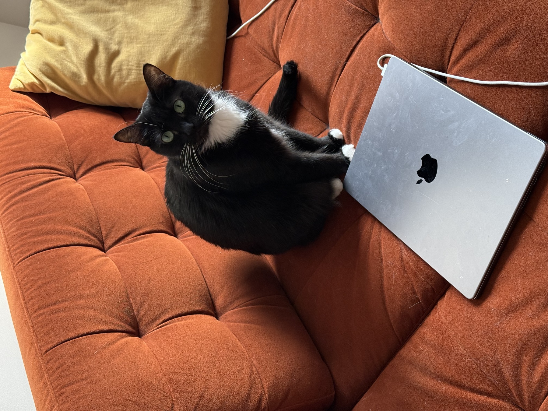 Image from January 2026