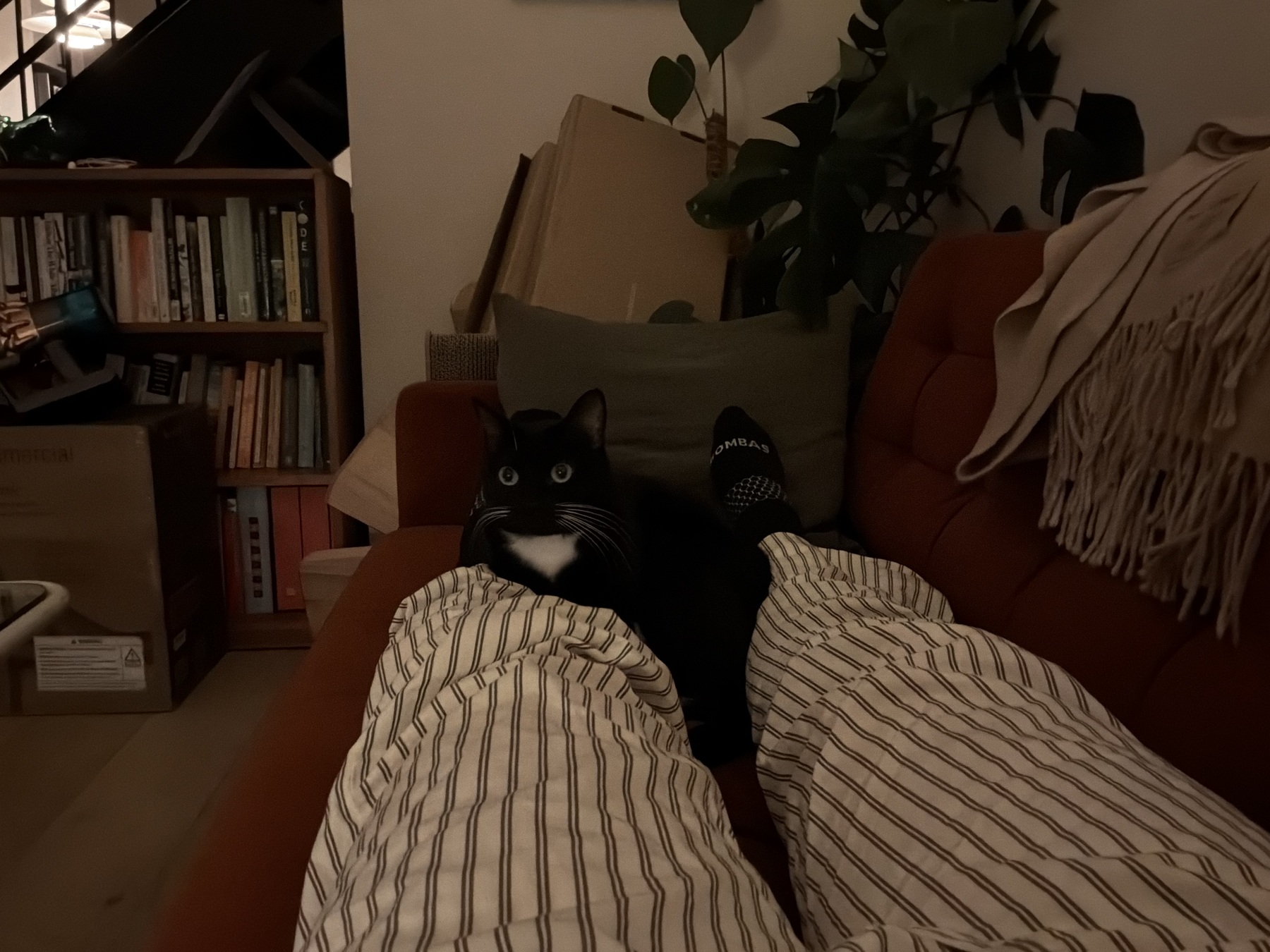 Image from February 2026