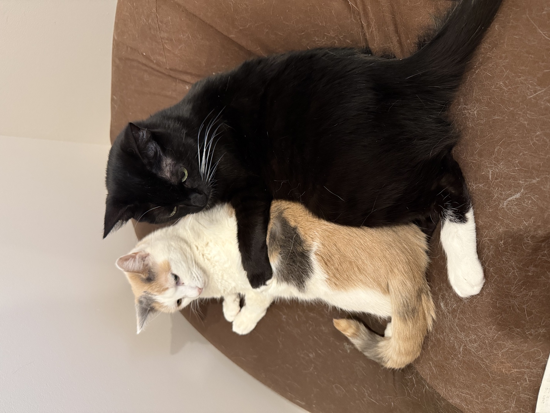 Image from February 2026