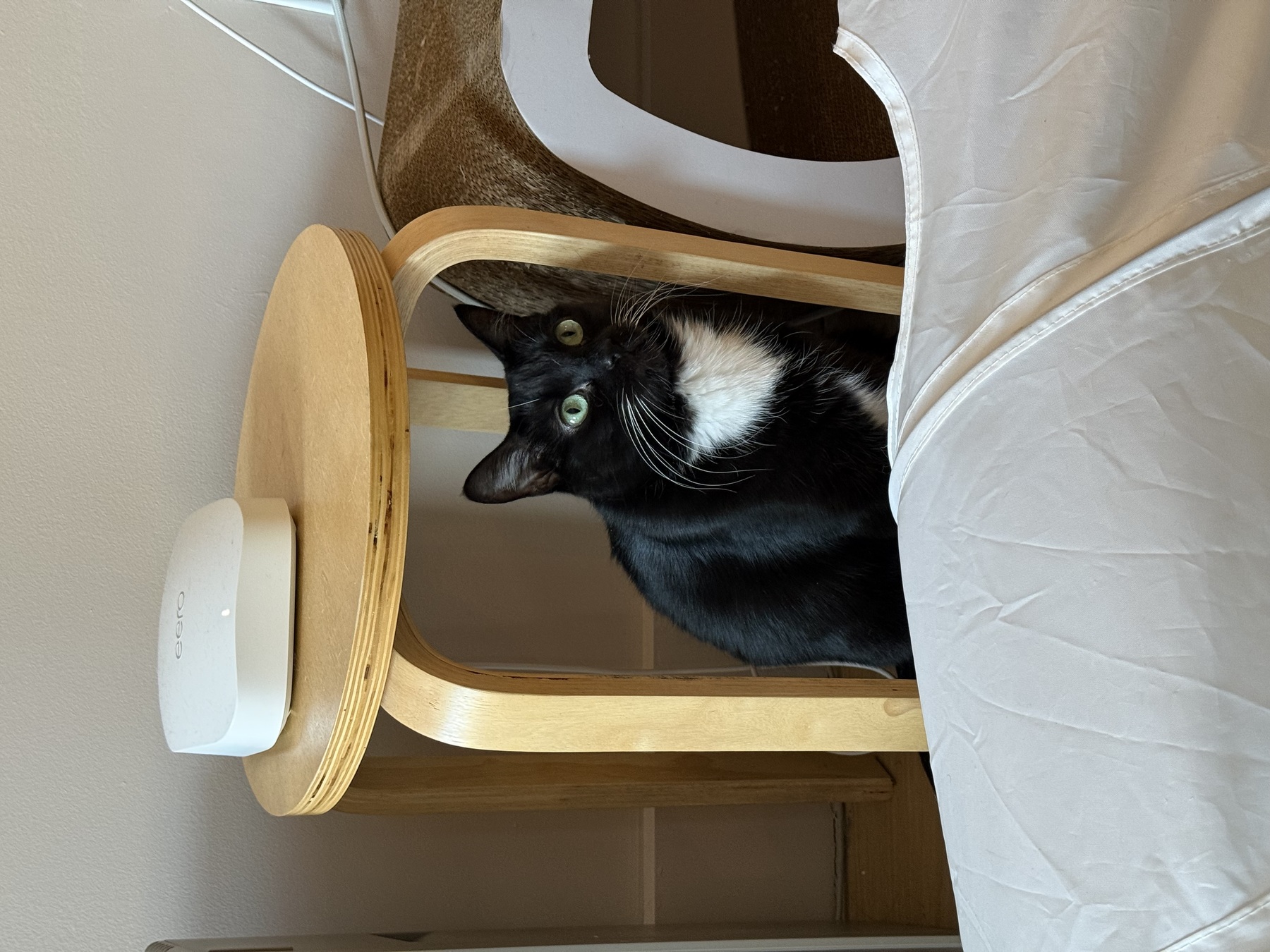 Image from February 2026