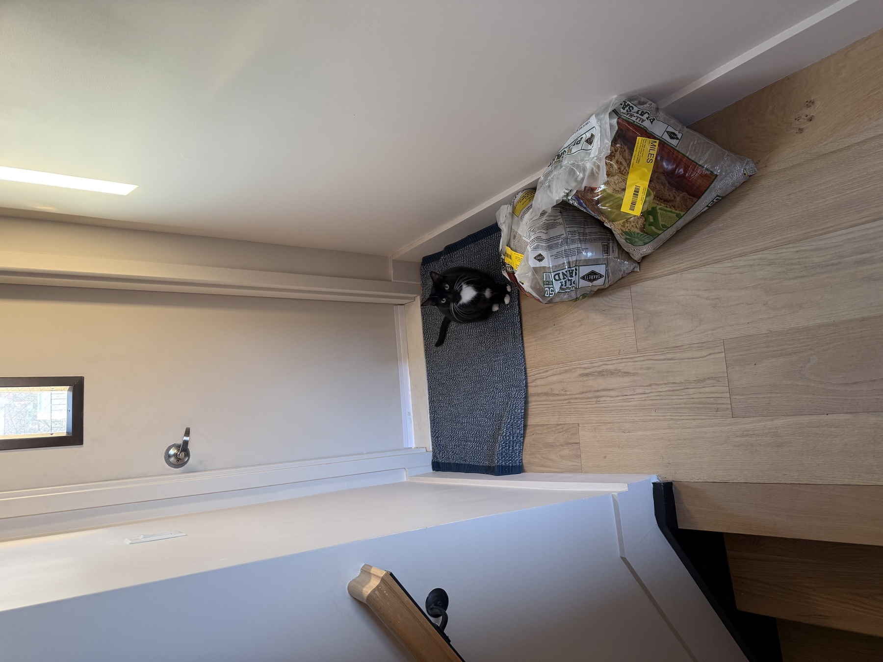 Image from February 2026