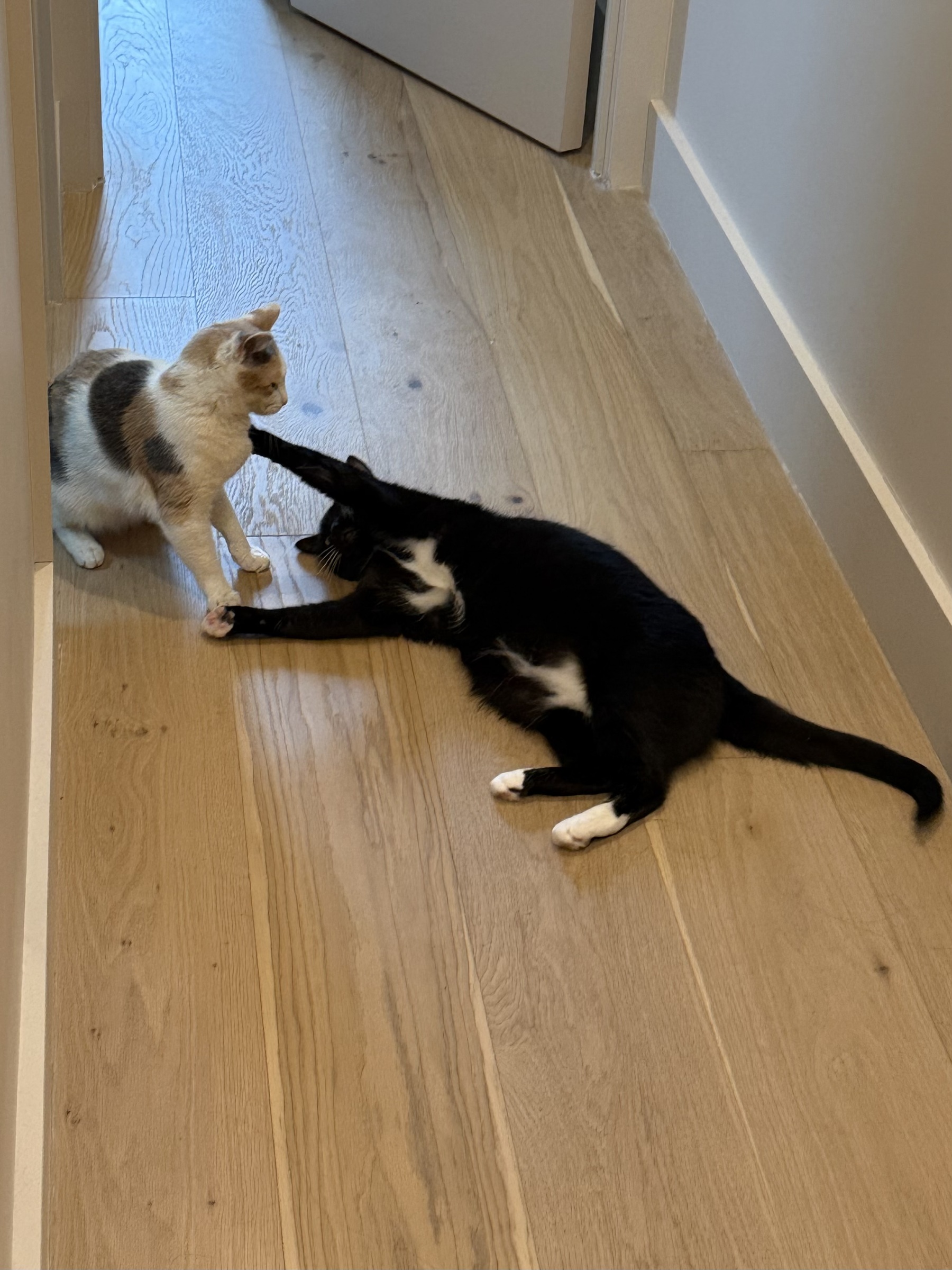 Image from February 2026